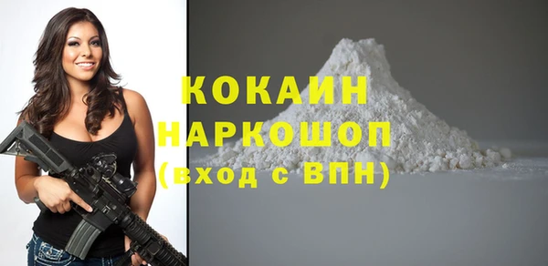 ECSTASY Алзамай