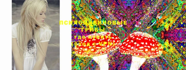 ECSTASY Алзамай
