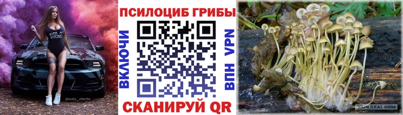 Галлюциногенные грибы MAGIC MUSHROOMS  Межгорье 